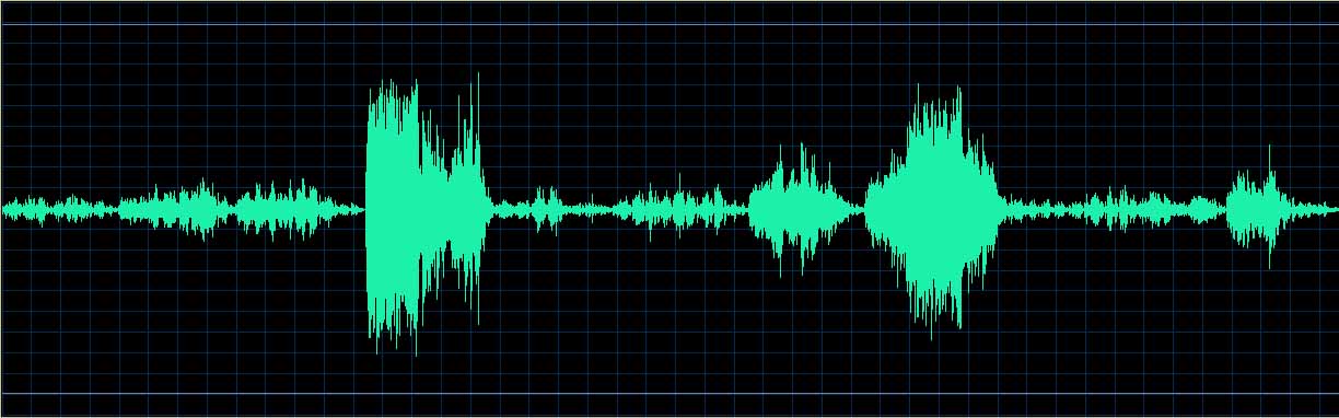 Boris Berman waveform
