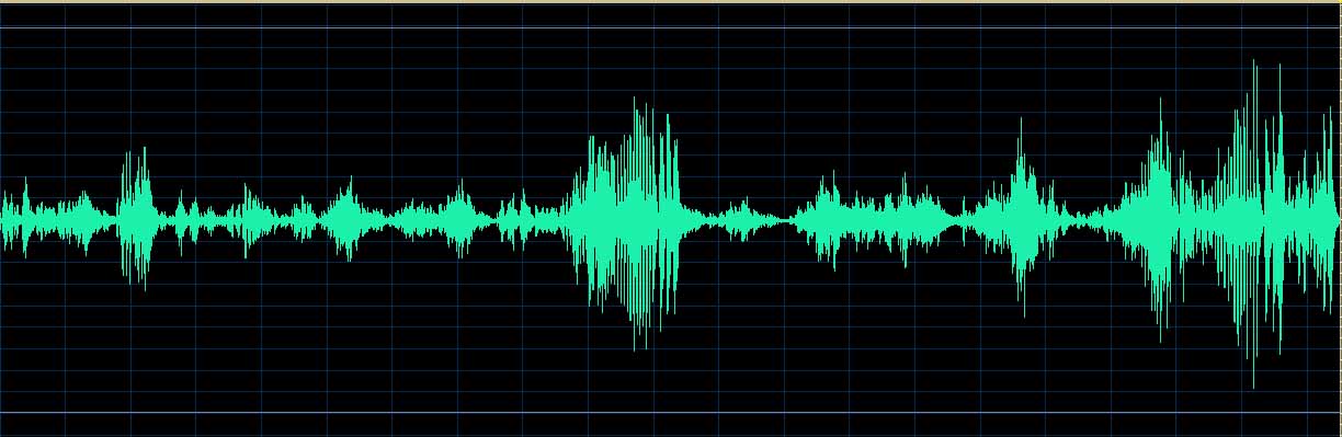 Oleg Marshev waveform