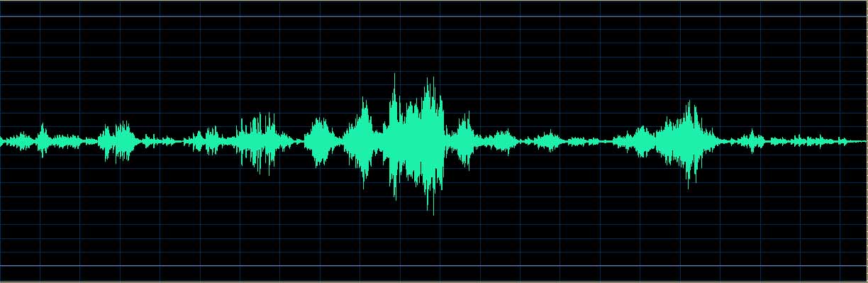 Oleg Marshev waveform