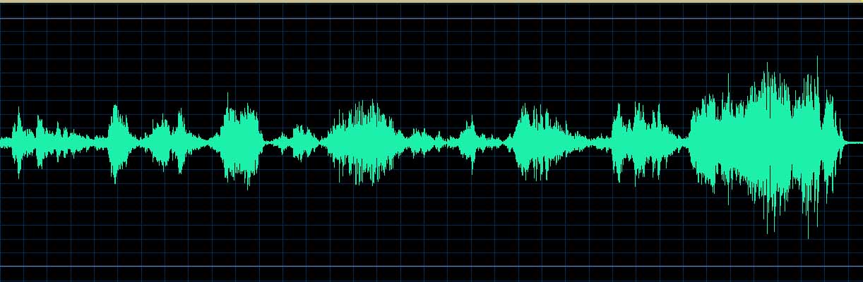 Oleg Marshev waveform