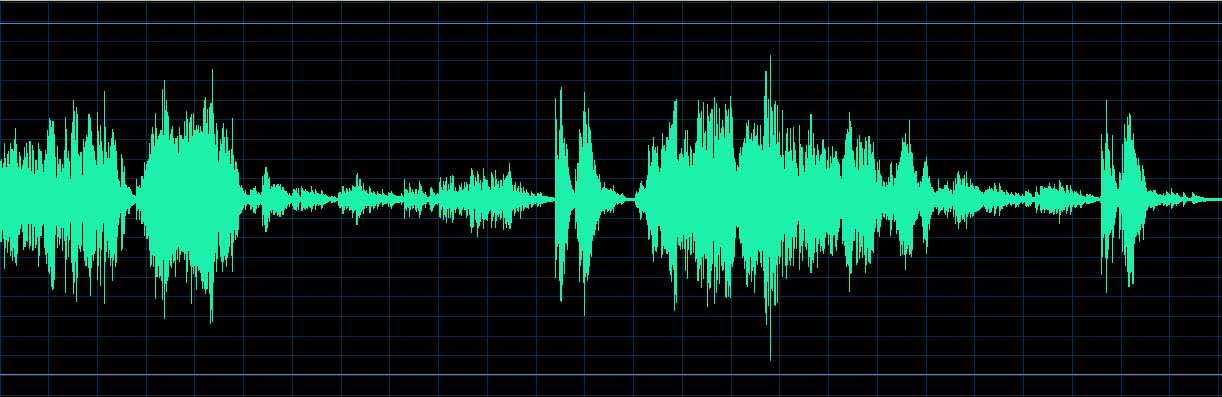 Oleg Marshev waveform