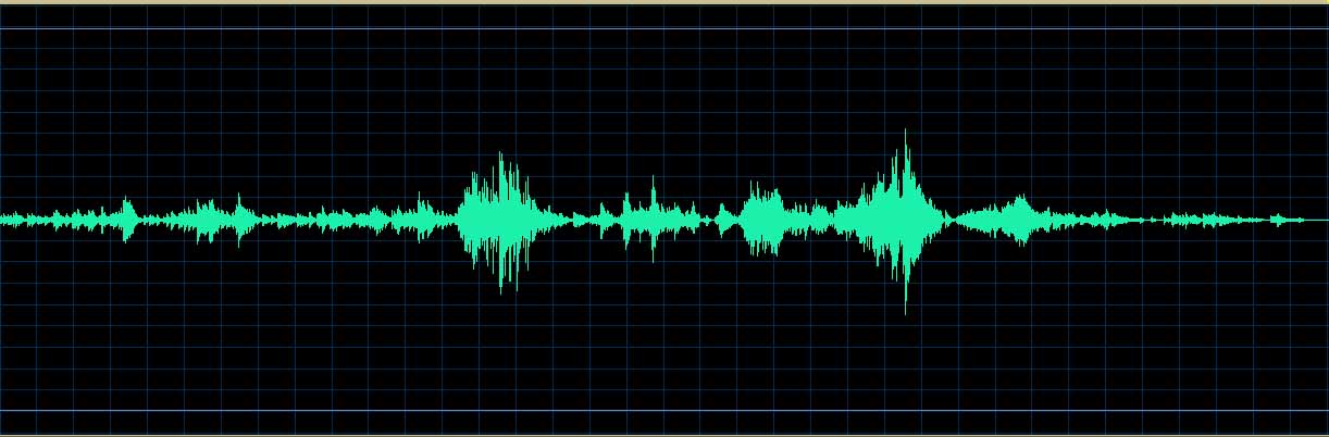 Oleg Marshev waveform