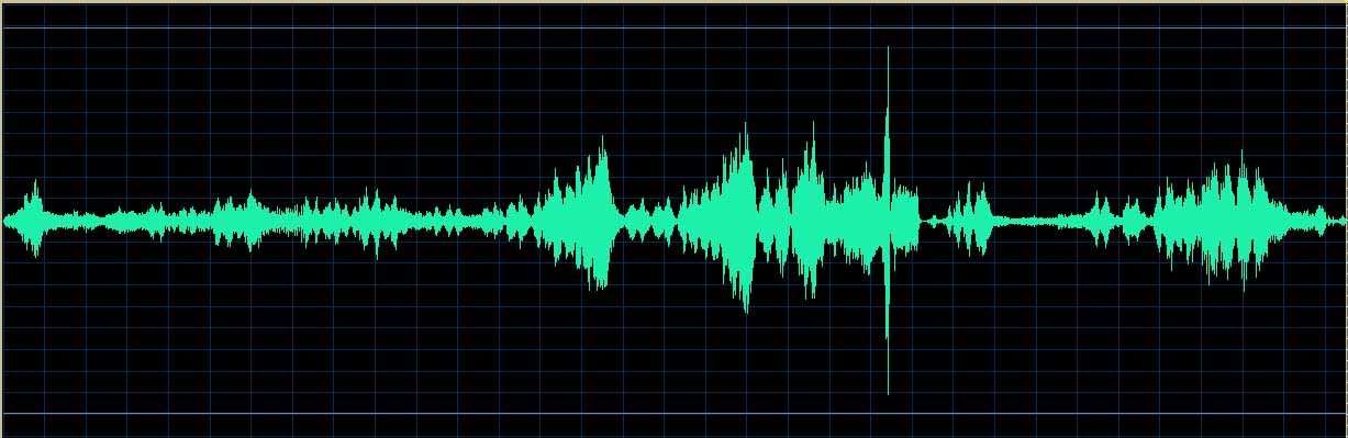 Yefim Bronfman waveform