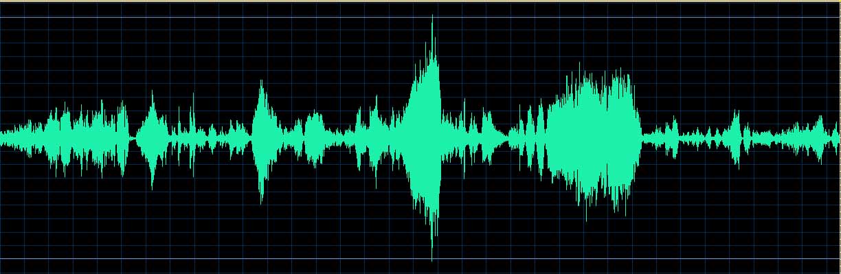 Yefim Bronfman waveform