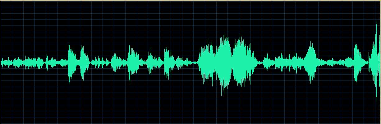 Yefim Bronfman waveform