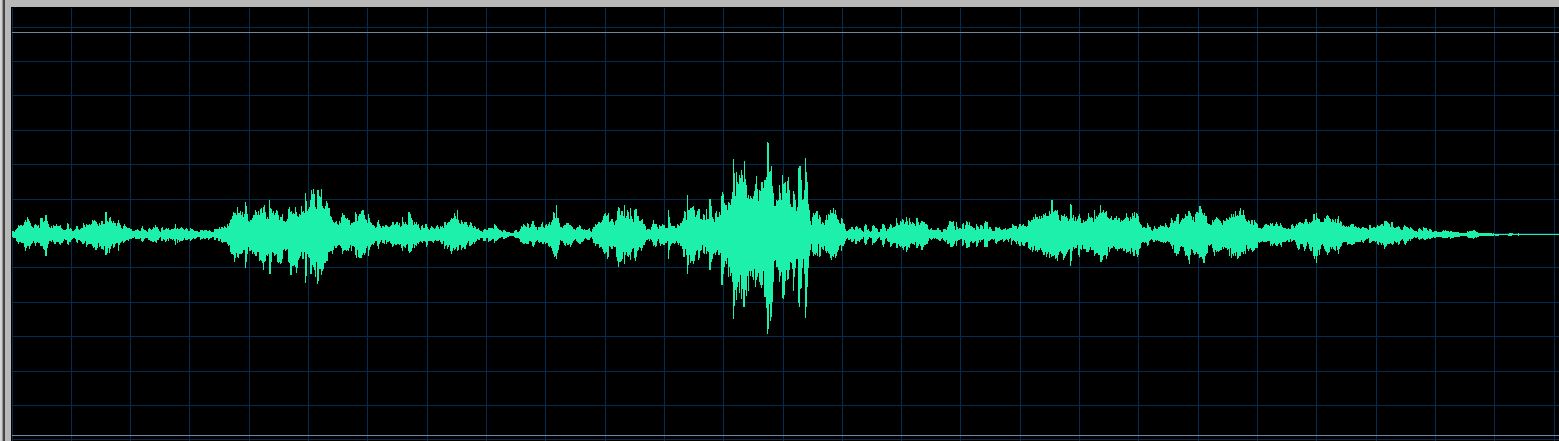 Earl Wild waveform