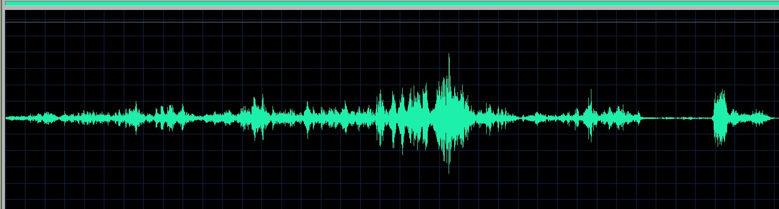 Roger Muraro waveform