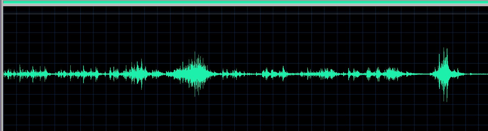 Roger Muraro waveform