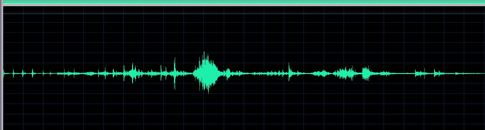 Roger Muraro waveform