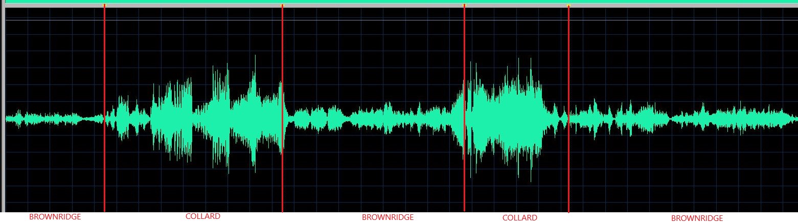 Hatto waveform