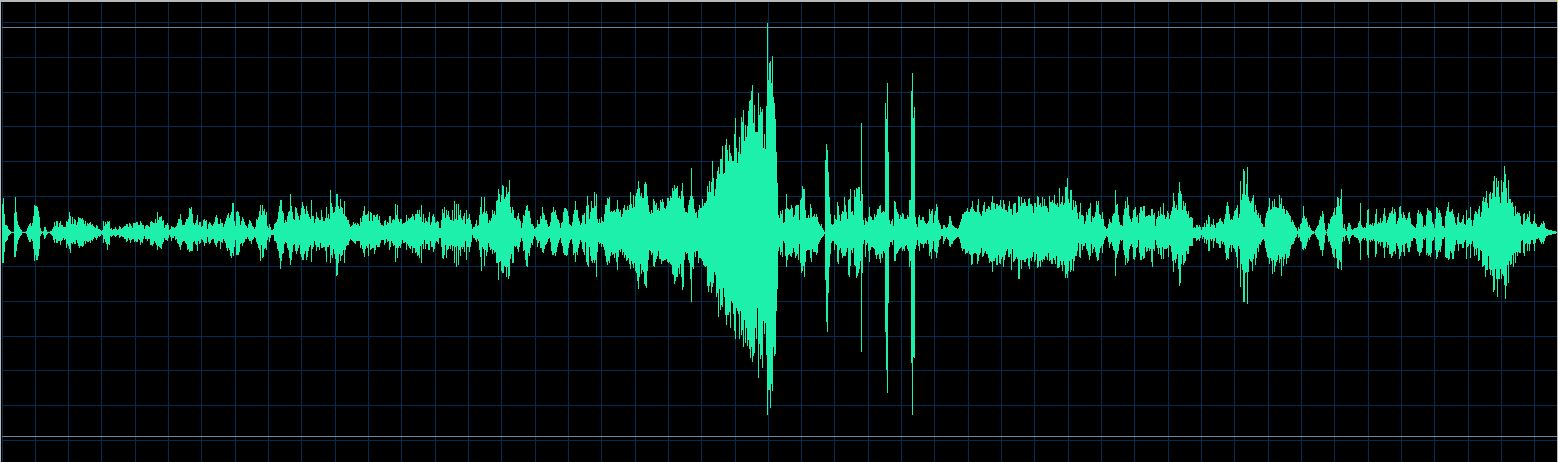 Michael Boriskin waveform