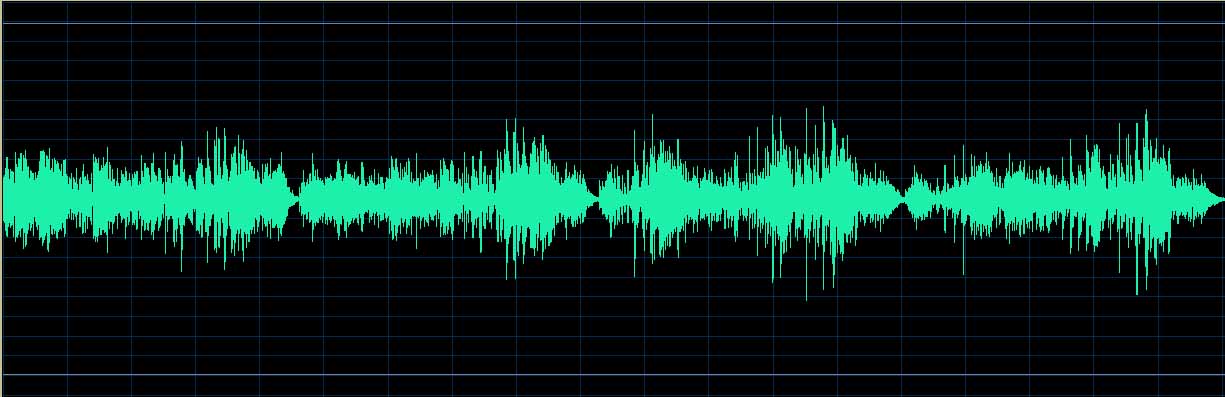 Patricia Pagny waveform