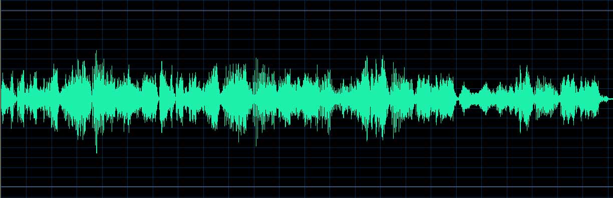 Patricia Pagny waveform
