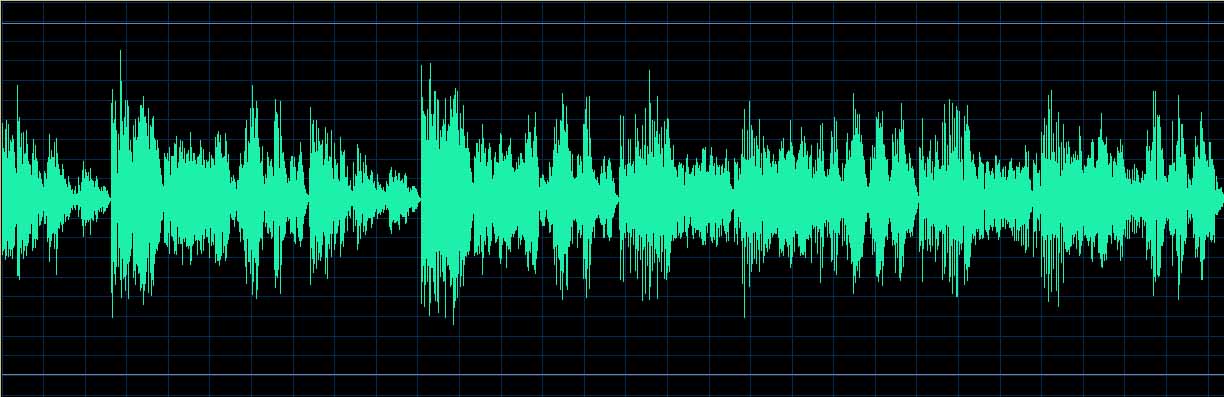 Patricia Pagny waveform