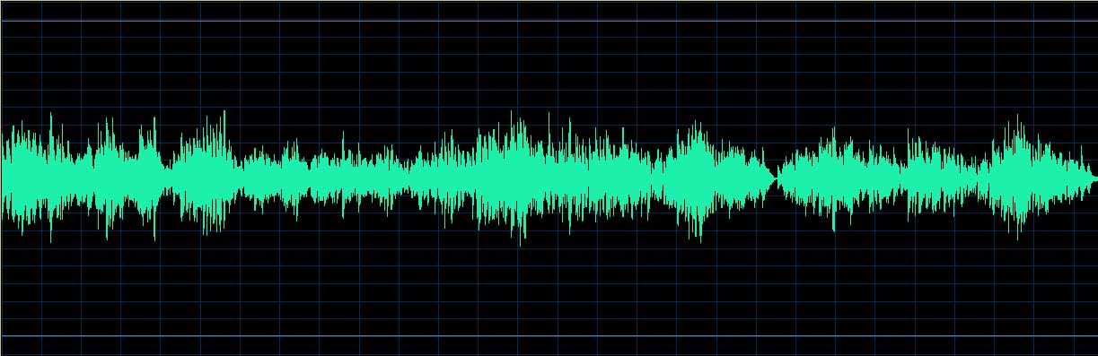 Patricia Pagny waveform