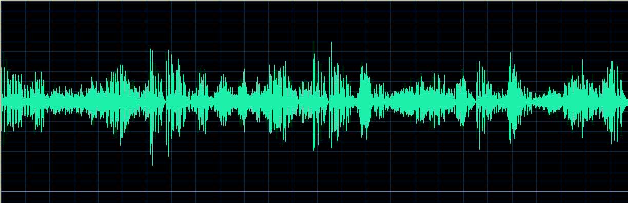 Patricia Pagny waveform