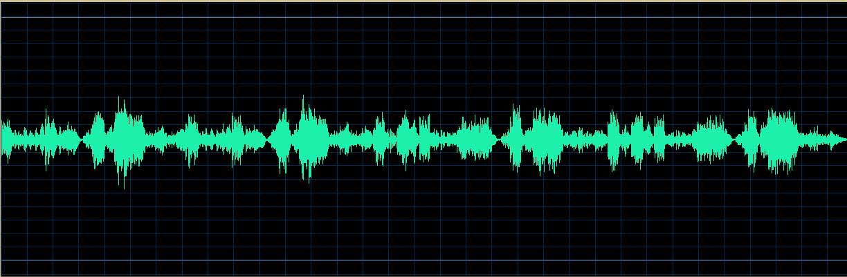 Maria Tipo waveform