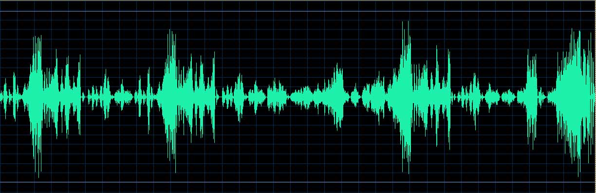 Michel Dalberto waveform