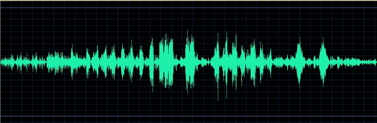 Michel Dalberto waveform