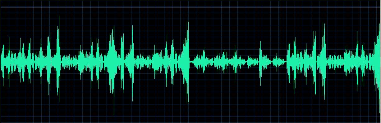 Michel Dalberto waveform