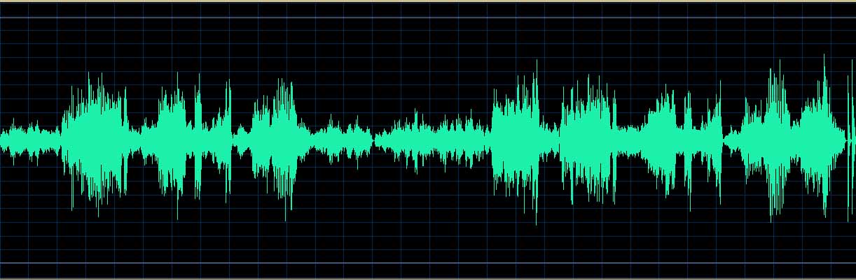 Michel Dalberto waveform