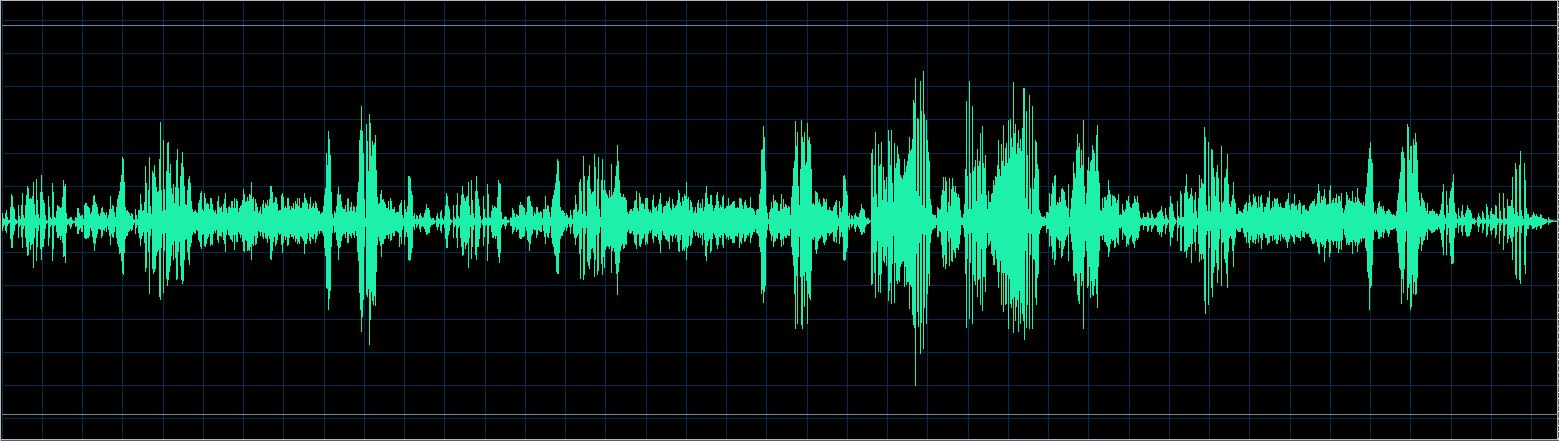 Maurizio Zanini waveform