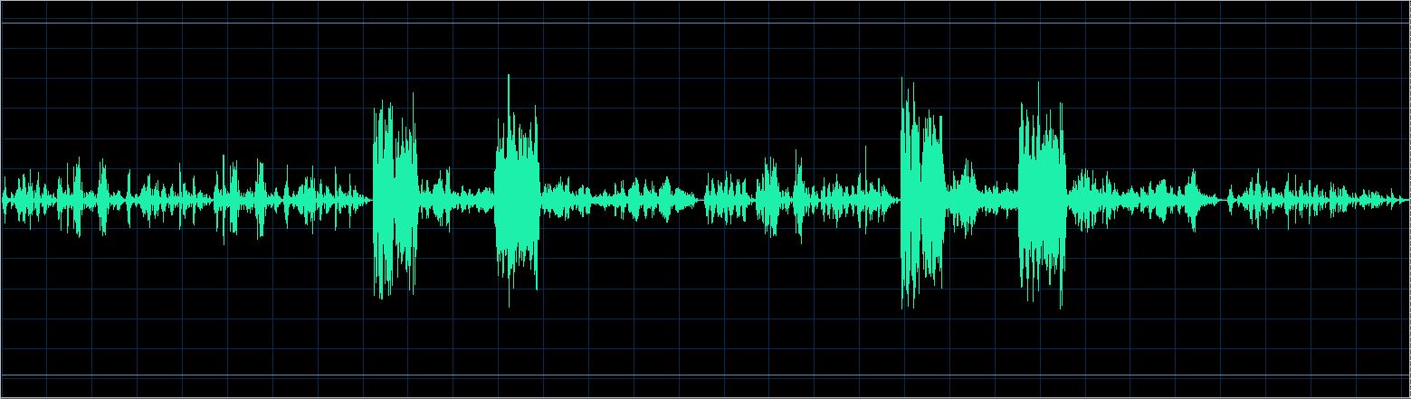 Maurizio Zanini waveform
