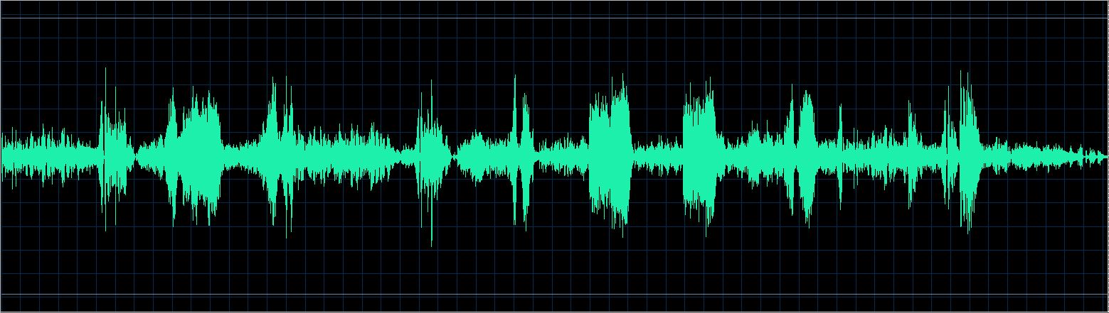 Maurizio Zanini waveform