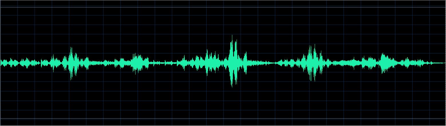 Michael Endres waveform