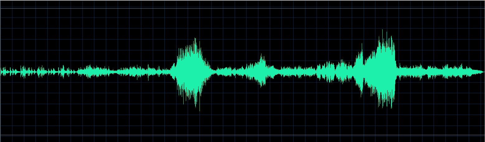 Ralf Gothóni waveform