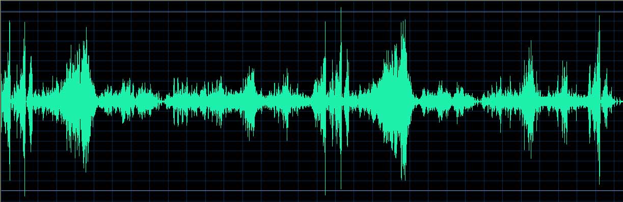 Michel Dalberto waveform