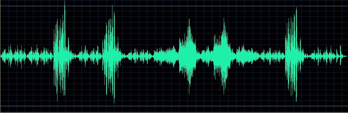 Michel Dalberto waveform