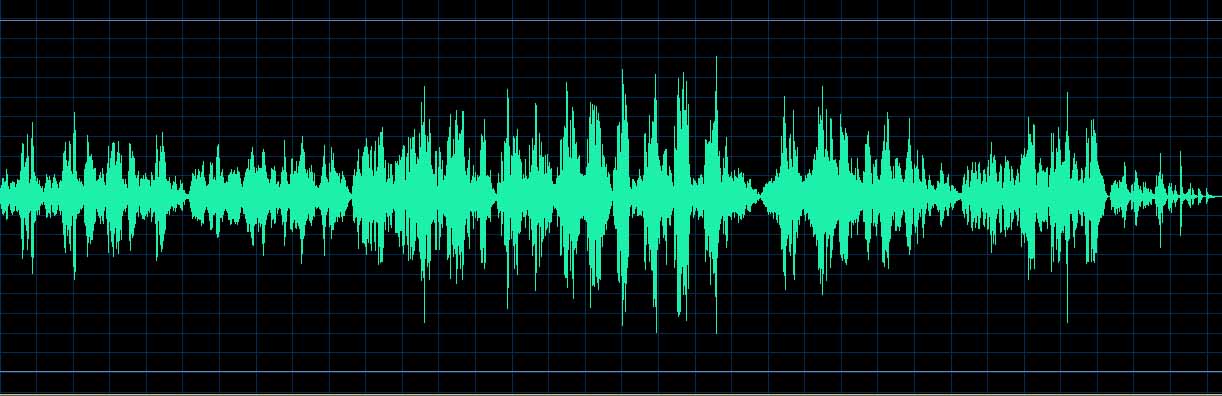 Michel Dalberto waveform