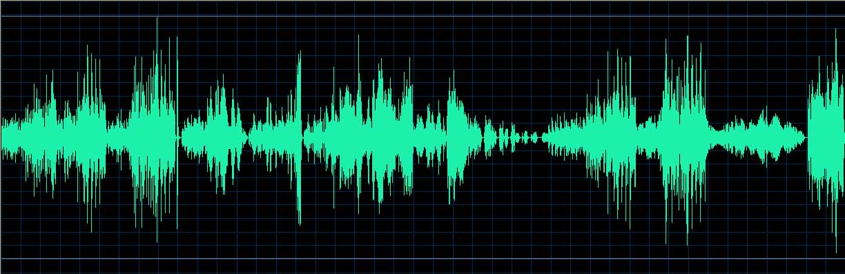 Michel Dalberto waveform