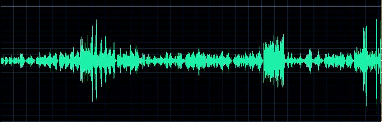Michel Dalberto waveform