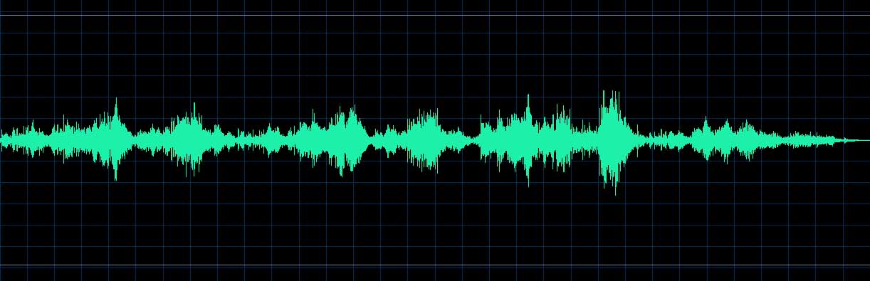 Adam Skoumal waveform
