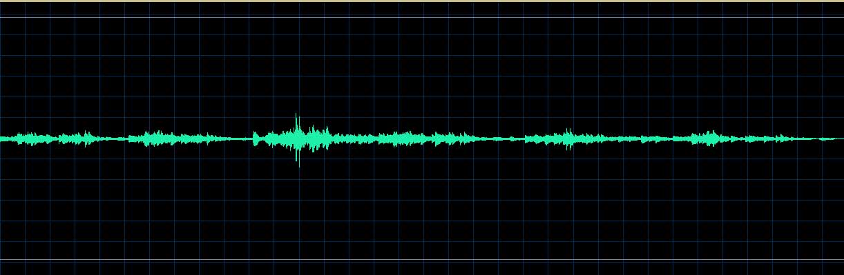 Adam Skoumal waveform