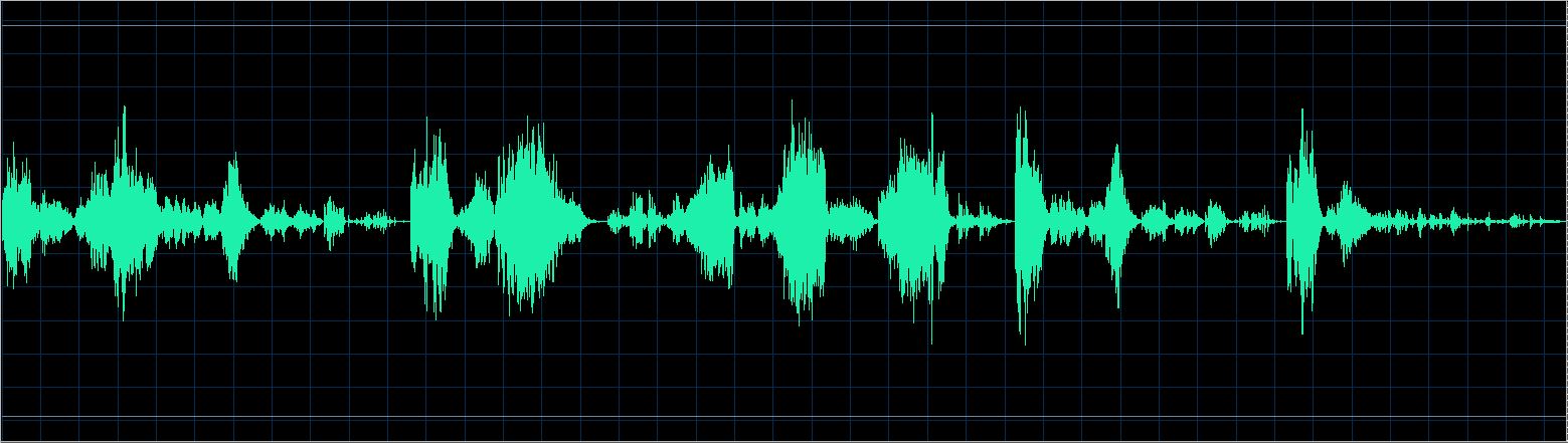 Michael Studer waveform