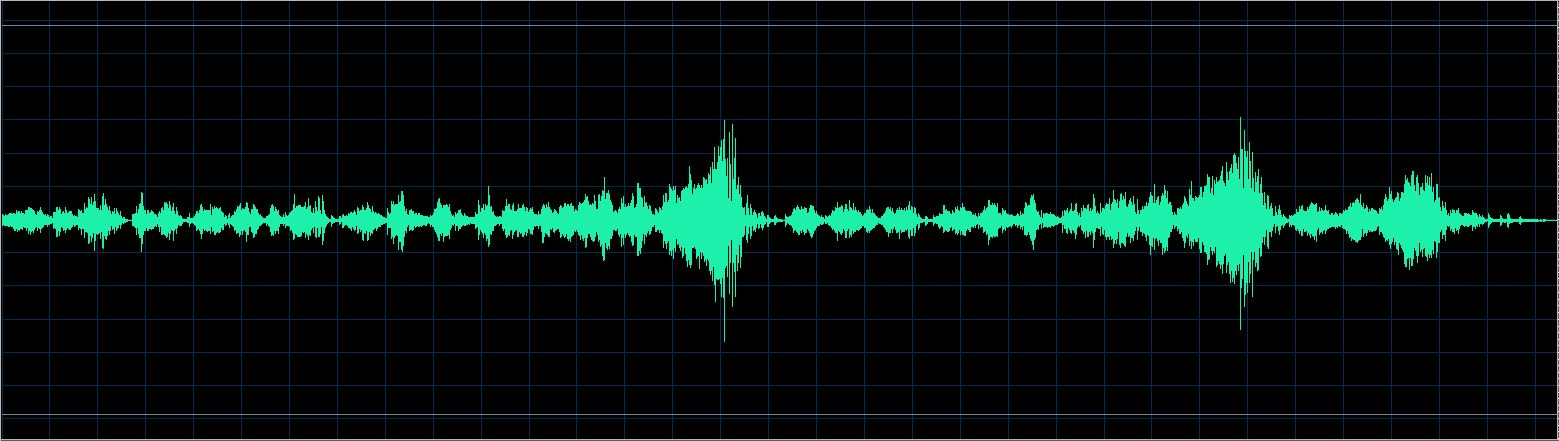 Michael Studer waveform