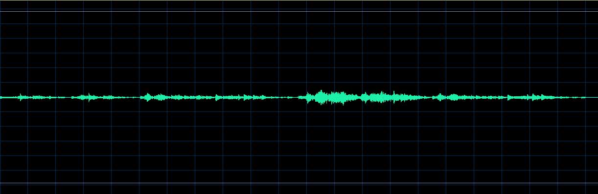 Adam Skoumal waveform