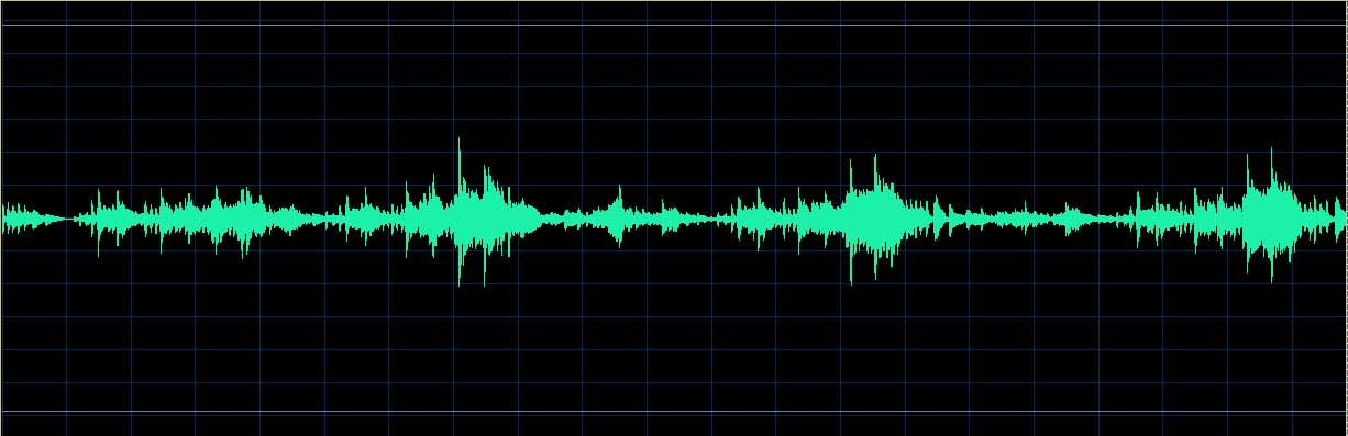 Adam Skoumal waveform