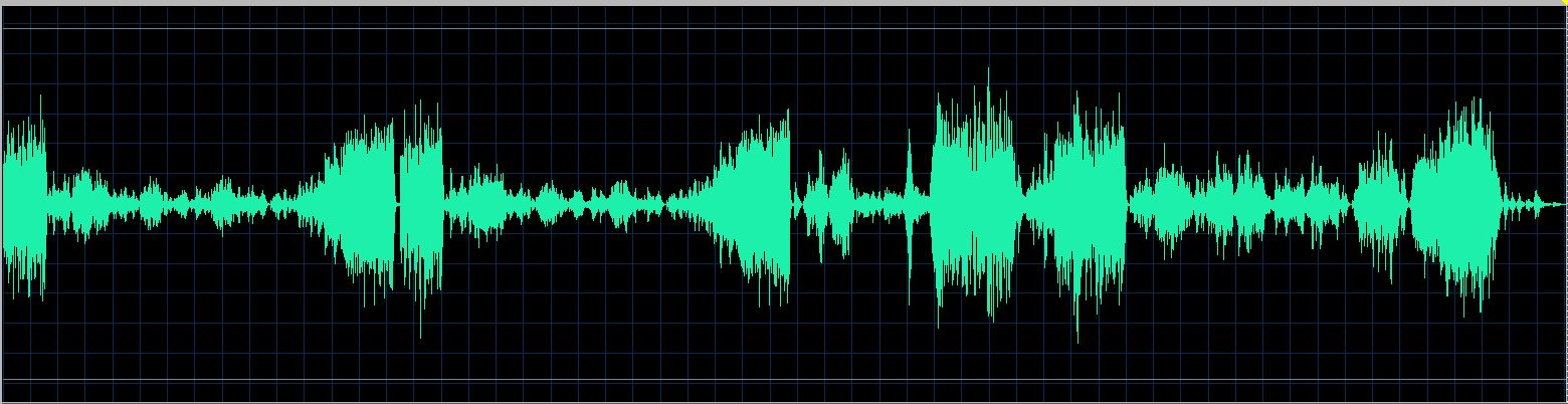 Håkon Austbø waveform