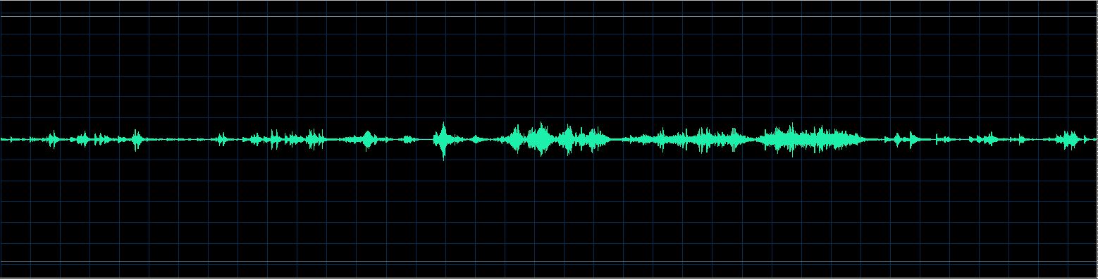 Håkon Austbø waveform