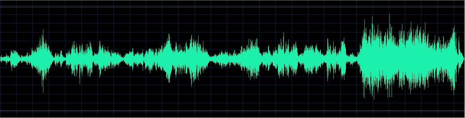 Håkon Austbø waveform