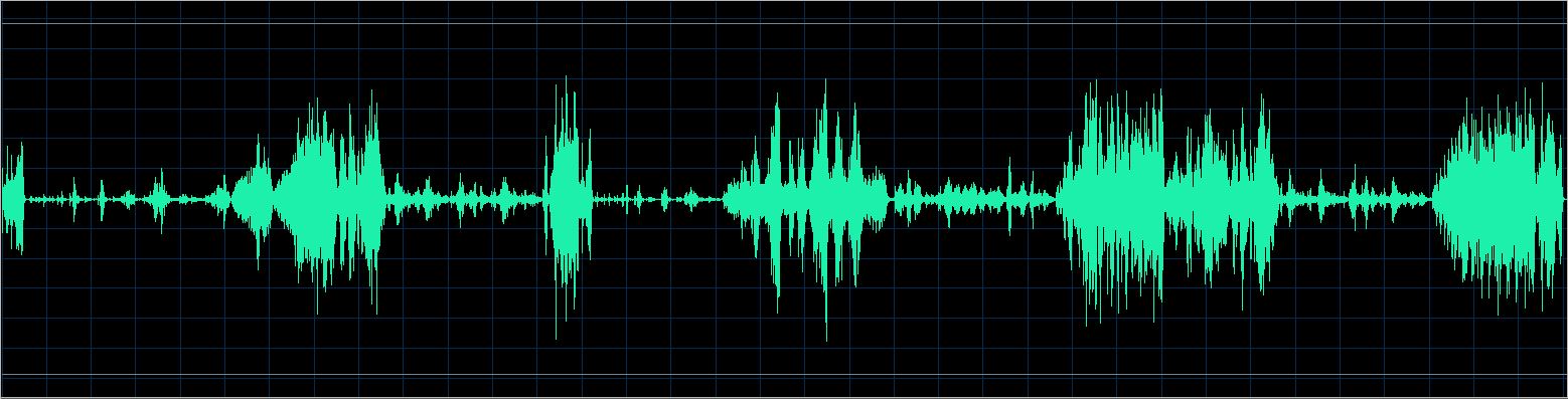 Håkon Austbø waveform