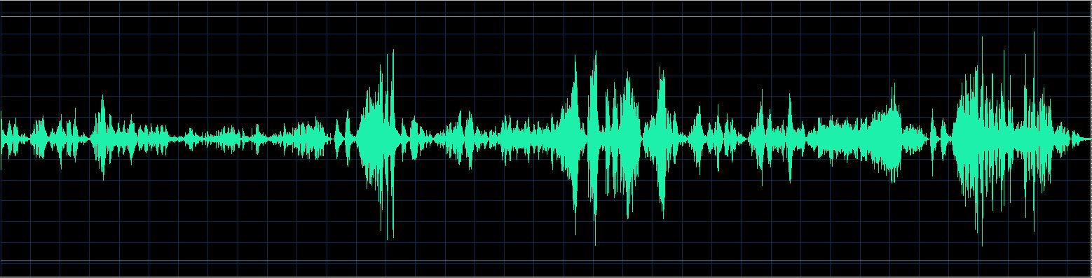 Håkon Austbø waveform