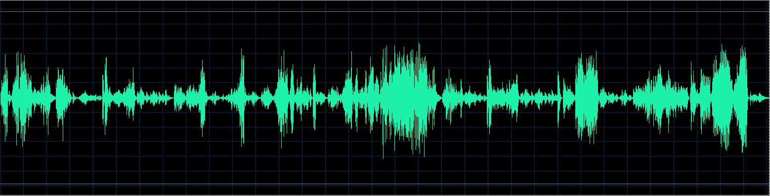 Håkon Austbø waveform