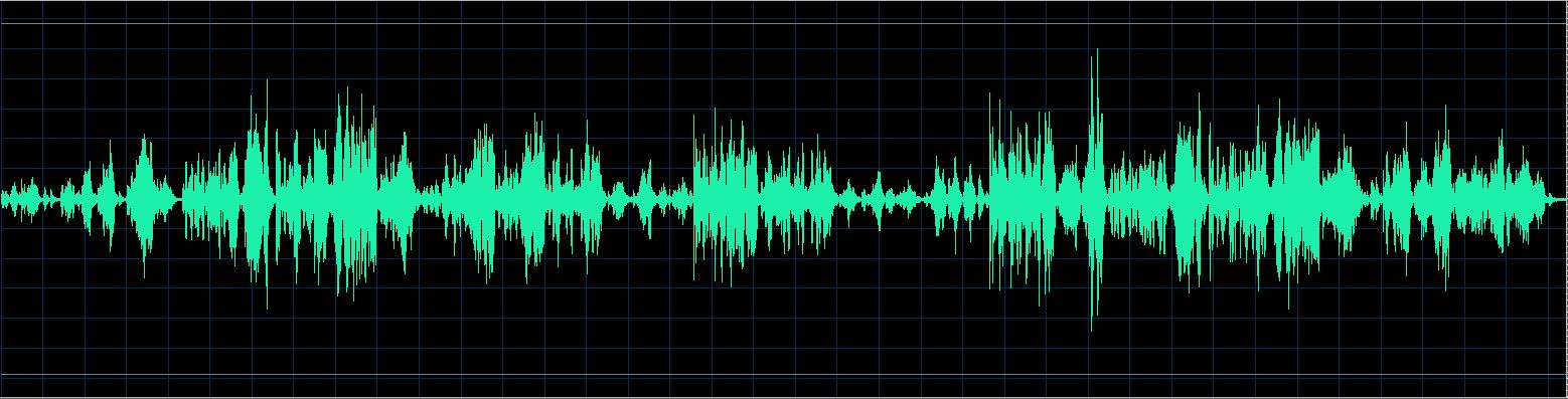 Håkon Austbø waveform