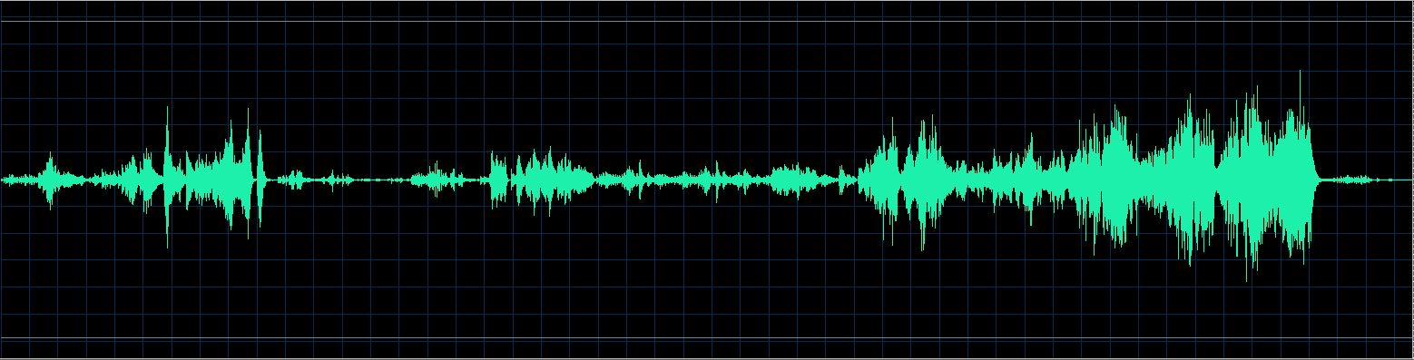 Håkon Austbø waveform