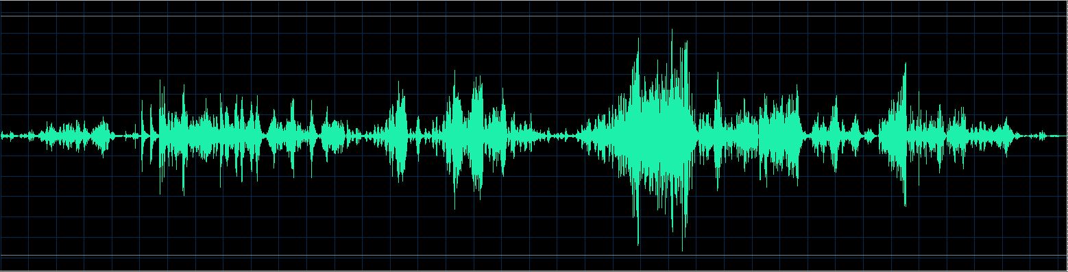 Håkon Austbø waveform